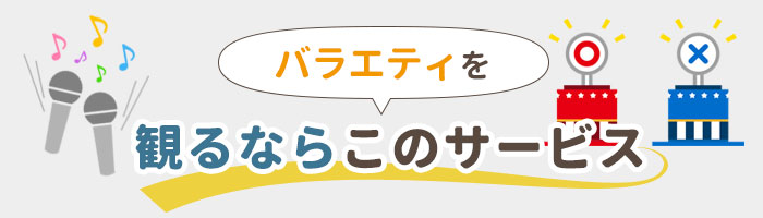 バラエティ番組を観るならこのサービス
